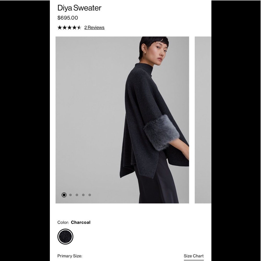 Club Monaco Diya Sweater - Picture 16 of 16